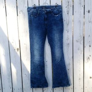 Buffalo David Bitton 16W flare jean